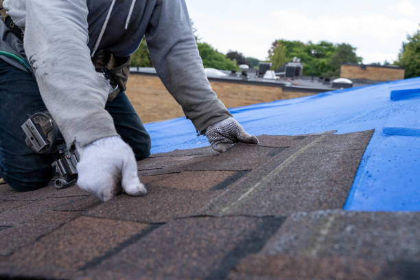 Professional Roofing Contractor in Chesterfield, MO