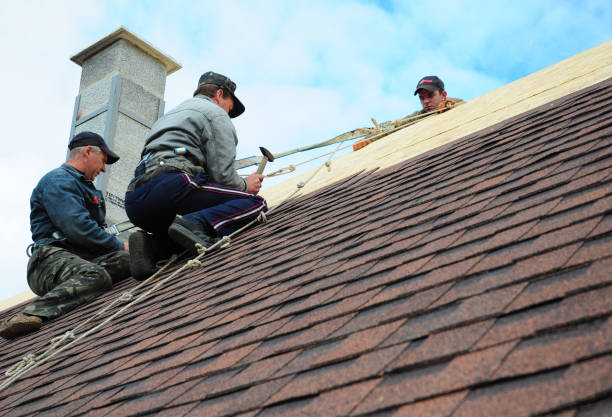 Best Roof Gutter Cleaning  in Chesterfield, MO